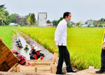 Presiden Jokowi Tinjau Program Padat Karya Tunai di Kabupaten Pulang Pisau