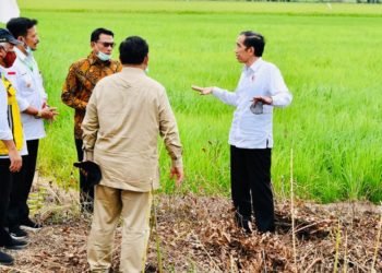 Presiden Tinjau Jaringan Reklamasi Rawa di Pulang Pisau