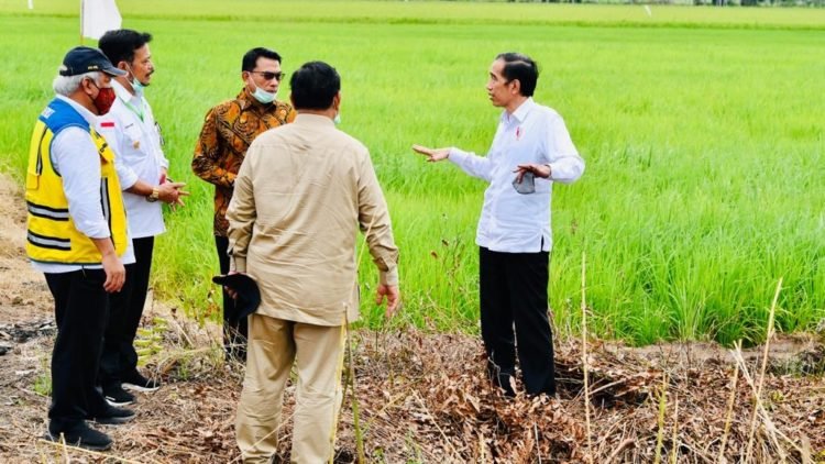 Presiden Tinjau Jaringan Reklamasi Rawa di Pulang Pisau