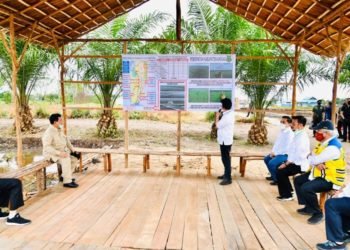 Presiden Tinjau Lokasi Pengembangan Lumbung Pangan Nasional di Kabupaten Kapuas
