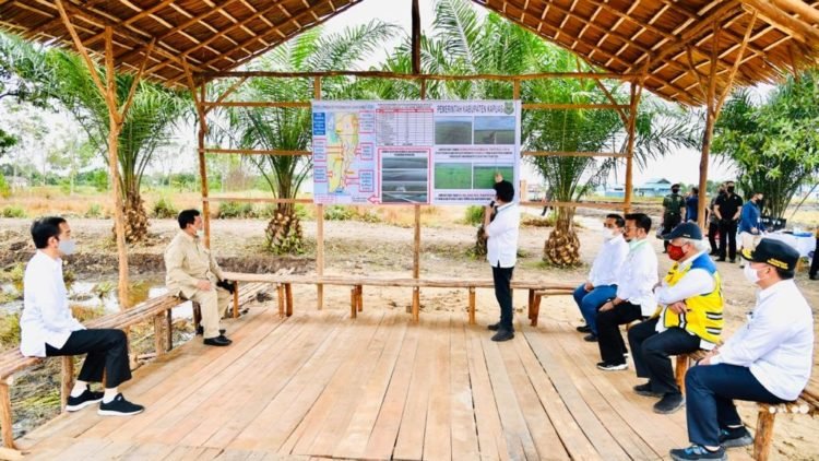 Presiden Tinjau Lokasi Pengembangan Lumbung Pangan Nasional di Kabupaten Kapuas