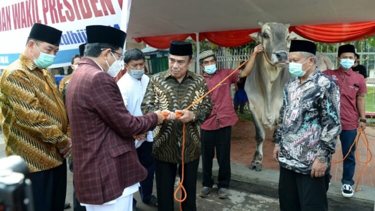 Presiden Jokowi Serahkan Hewan Kurban di Masjid Istiqlal