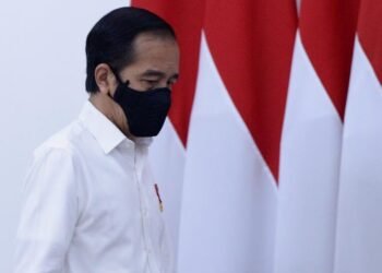 Presiden: Kalkulasikan dengan Matang Pengembangan Lumbung Pangan Baru