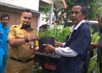 Dinas Ketahanan Pangan Bagikan Ribuan Bibit Sayuran di Cipondoh