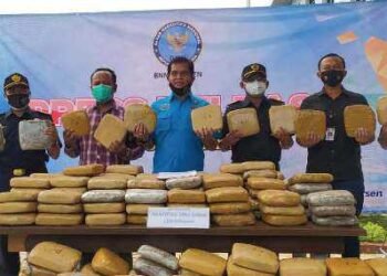 301 Kg Ganja Siap Edar ke Bogor Digagalkan