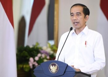 Presiden Jokowi: Tidak Benar bahwa Amdal Akan Dihapus