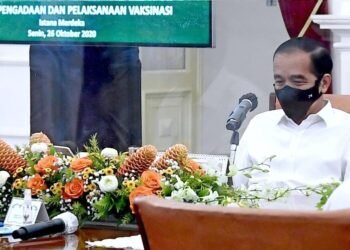 Presiden: Rata-Rata Kasus Aktif Indonesia Lebih Rendah dari Rata-Rata Dunia