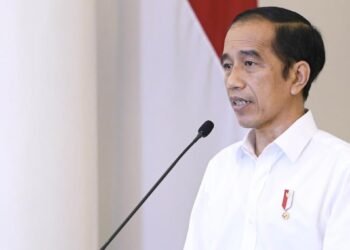 Presiden: UU Cipta Kerja Tak Kurangi Kewenangan Daerah