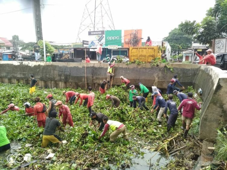 Antisipasi Banjir, DPU Tangsel Bersih-Bersih Enceng Gondok dan Lumpur