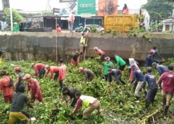 Berpotensi Tutup Aliran Sungai, DPU Tangsel Bersihkan 72 Kubik Eceng Gondok