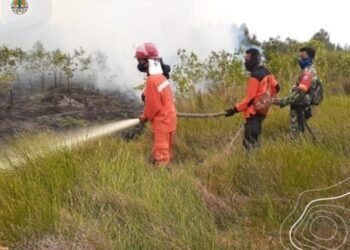 Hotspot Menurun Drastis, Menteri LHK: Kolaborasi Bersama Berhasil Cegah Karhutla