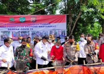 Manfaatkan Lahan Tidur, Panen Raya Jagung dan Lele di Kabupaten Tangerang