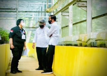 Presiden Tinjau Lokasi Pembangunan Pusat Perbenihan untuk Atasi Bencana Ekologis
