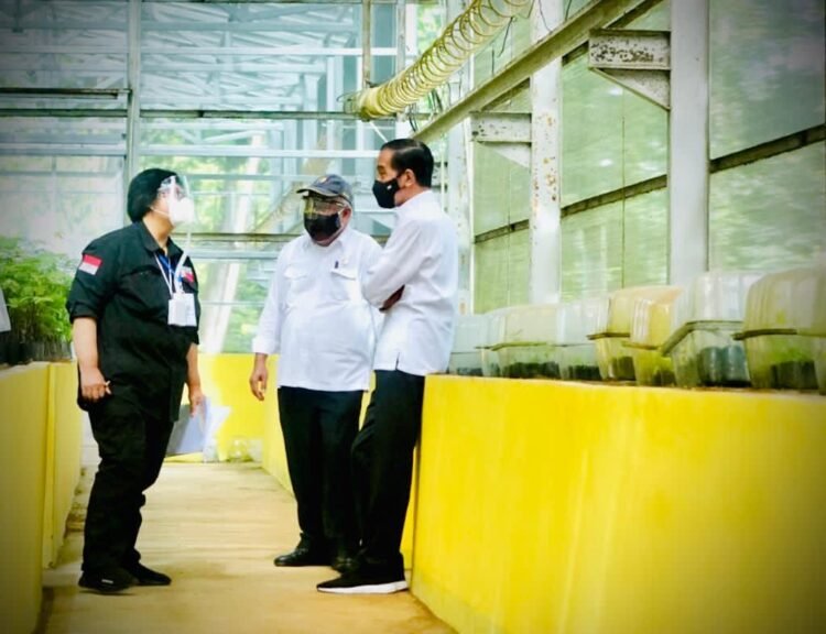 Presiden Tinjau Lokasi Pembangunan Pusat Perbenihan untuk Atasi Bencana Ekologis