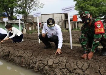 Teluknaga Jadi Pusat Gerakan Tanaman Hortikultura di Kabupaten Tangerang
