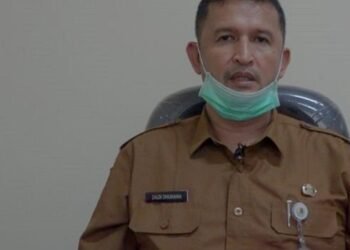 Distan Kabupaten Serang Mampu Salurkan 70 Ekor Domba Hasil Pembibitan