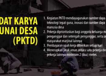 Mendes PDTT Minta Penggunaan Dana Desa 2020 Dipercepat