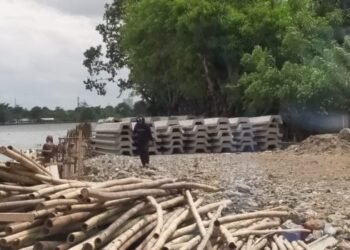 Pemprov Banten Diduga Hilangkan Aset dari Proyek di Situ Cipondoh