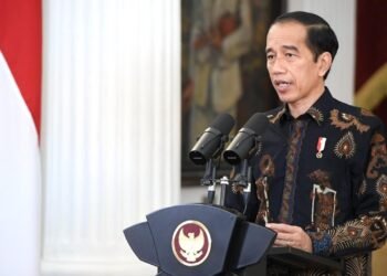 Presiden Jokowi Ajak Semua Pihak Perkuat Komitmen Pemenuhan Hak Asasi