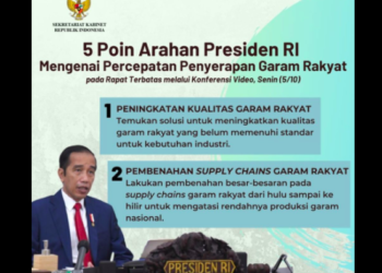 Tingkatkan Kualitas Garam Rakyat, Pemerintah Bangun 7 Washing Plant