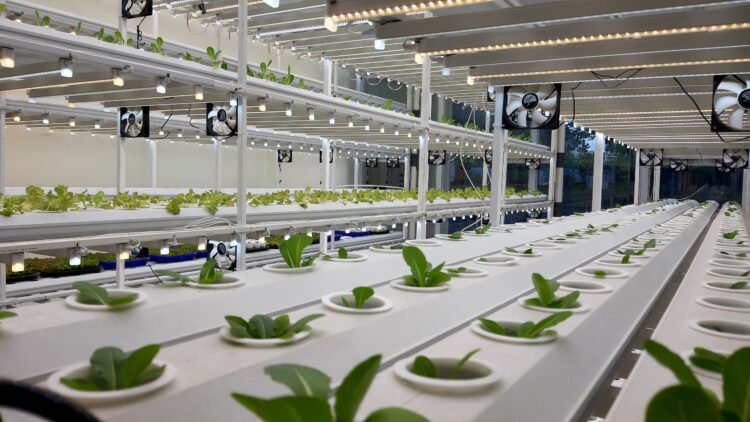 Tunas Farm Garap Pertanian Modern di Gading Serpong