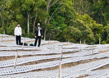 Pemerintah Tambah Alokasi Pupuk Bersubsidi