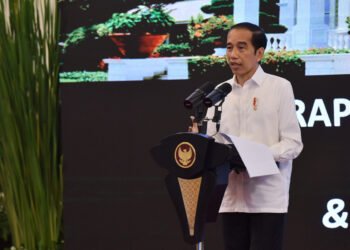 Rapat Terbatas mengenai Penanganan Pandemi COVID-19 dan Rencana Pelaksanaan Vaksinasi, 6 Januari 2020,  di Istana Negara, Provinsi DKI Jakarta