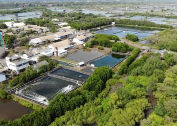 Program Padat Karya Sektor Kelautan dan Perikanan Diperkirakan Serap Lebih dari 4.600 Tenaga Kerja