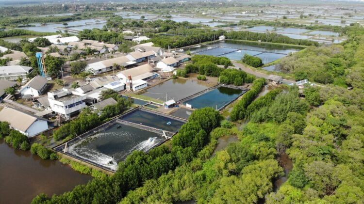 Program Padat Karya Sektor Kelautan dan Perikanan Diperkirakan Serap Lebih dari 4.600 Tenaga Kerja