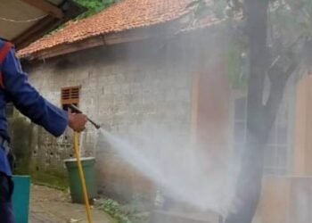 Kampung Cicentang Serpong Diserang Hama Ulat Bulu, Damkar Turun Tangan