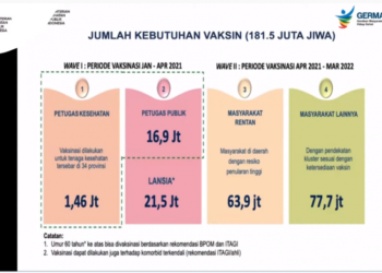 Kemenkes: Vaksinasi COVID-19 Bagi Pekerja Publik Dimulai 17 Februari 2021