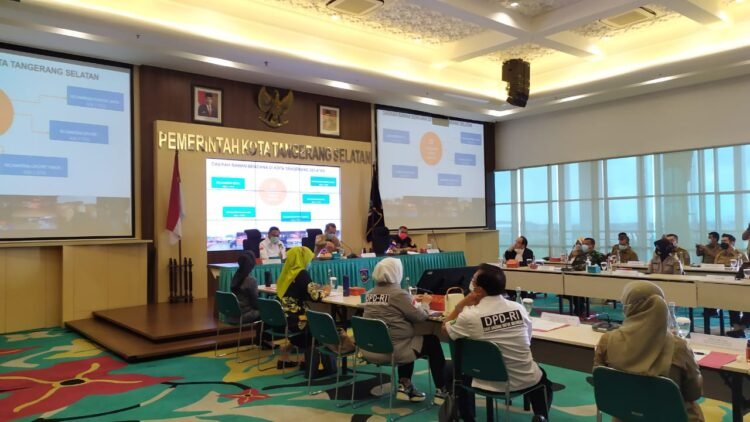 Masalah Drainase dan Ketahanan Pangan di Tangsel Disorot DPD