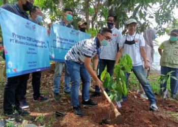 Aksi Peduli Lingkungan Hidup, WOM Finance Tanam Seribu Pohon untuk Penghijauan