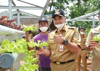 Bupati Zaki: Pertanian Hidroponik Di Tigaraksa Bisa Jadi Lumbung Pangan
