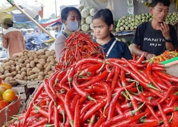 Harga Cabai Rawit Di Kota Tangerang Kian Pedas Dikantong