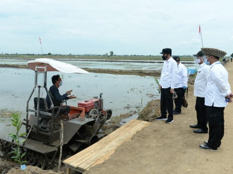 Jelang Ramadan dan Lebaran, Pemerintah Pastikan Ketersediaan dan Harga Bahan Pokok Terkendali