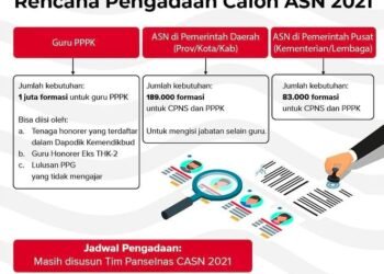 Seleksi ASN 2021, BKN Siapkan Satu Portal Terintegrasi