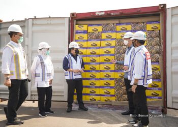 Sinergi Pemerintah Dorong Ekspor Komoditas Pertanian