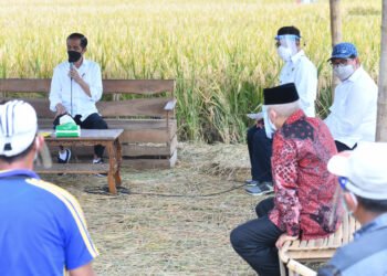 Presiden Tinjau Panen, Tanam, dan Penggilingan Padi di Kabupaten Malang
