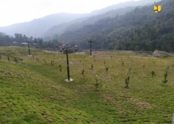 Ditanami 655 Pohon, Greenbelt Bendungan Tukul Beri Manfaat Ekonomi Bagi Warga Sekitar 