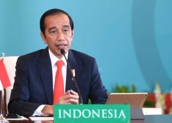 Presiden Jokowi Dorong Tiga Hal pada KTT ke-10 D-8