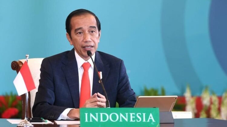 Presiden Jokowi Dorong Tiga Hal pada KTT ke-10 D-8