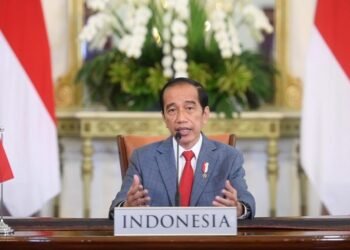 Presiden Jokowi Sampaikan Tiga Pandangan pada KTT Perubahan Iklim