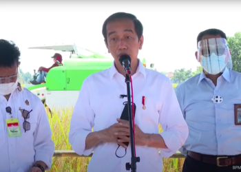 Presiden Jokowi Tinjau Panen Raya Padi di Wanasari, Indramayu