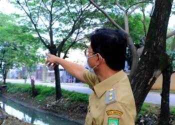 Sachrudin Tegur Disbudpar untuk Pemangkasan Pohon