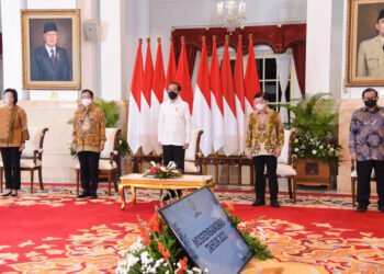 Mendagri Dorong Pemda untuk Percepat Realisasi APBD 2021