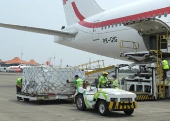 Bahan Baku Vaksin Sinovac dan Vaksin Siap Pakai Sinopharm Tiba di Indonesia