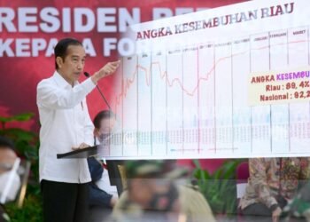 Presiden Jokowi Dorong Kerja Sama Daerah untuk Bersama Tangani Pandemi Covid-19