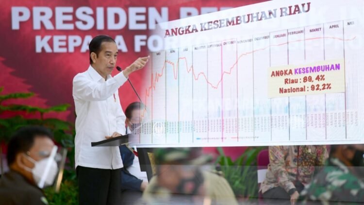 Presiden Jokowi Dorong Kerja Sama Daerah untuk Bersama Tangani Pandemi Covid-19