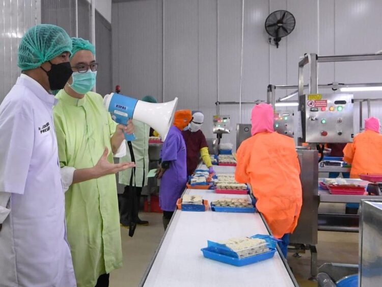 Tinjau PT BMI, Presiden: Produk Perikanan Indonesia Masih Sangat Menjanjikan untuk Pasar Dunia